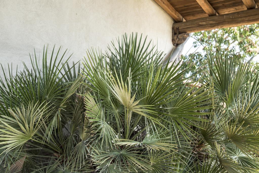 La Dimora Di Samu Bed & Breakfast Enna Exterior photo